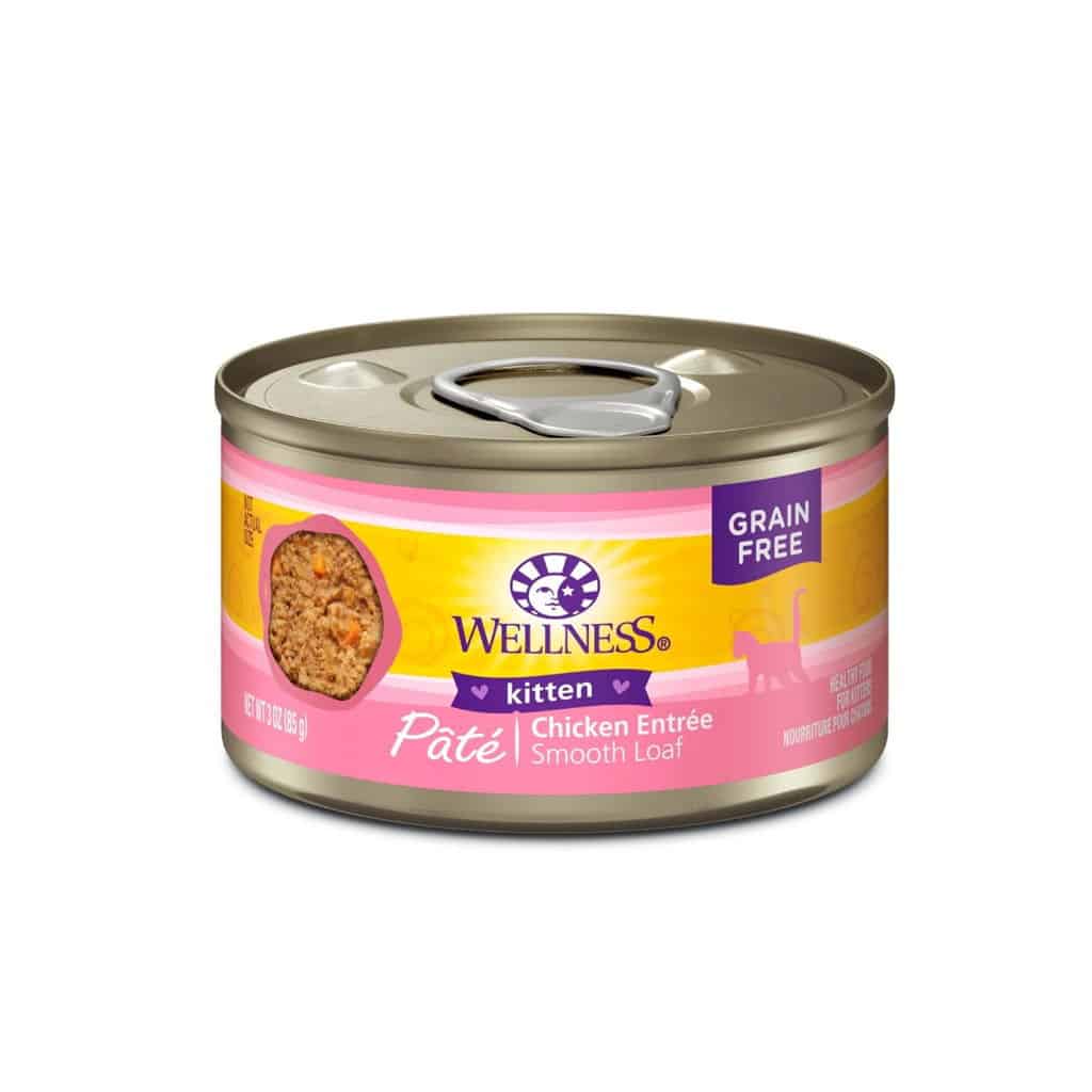 wet food
