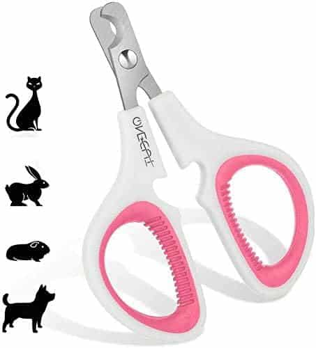 nail clippers